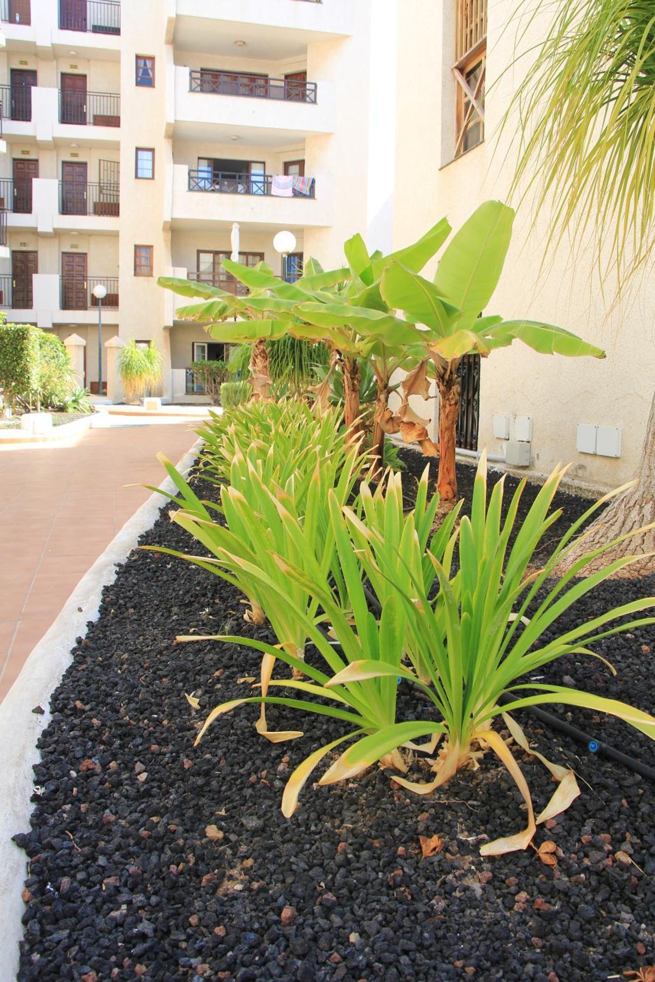 Las Americas - 2 Bedrooms - Flayla-A Arona  Ngoại thất bức ảnh